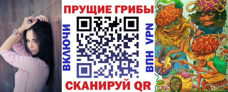 Псилоцибиновые грибы прущие грибы  Ярославль 
